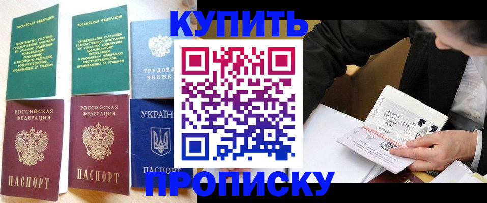 прописка для школы в Кондрово